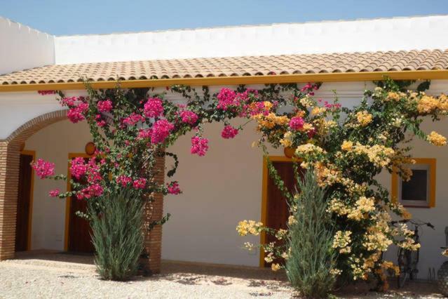 finca las gateras Villamartín Exterior foto
